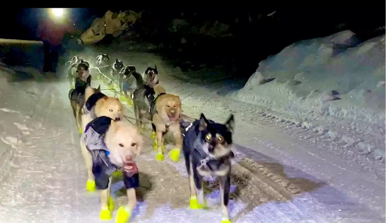 Iditarod live blog: Leaders take final rest, head for the Bering Sea coast