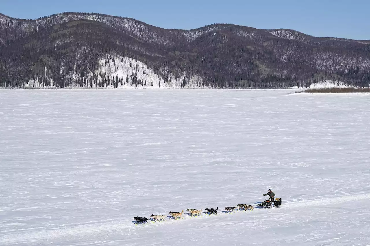 Iditarod leader declines gourmet meal to keep mushing