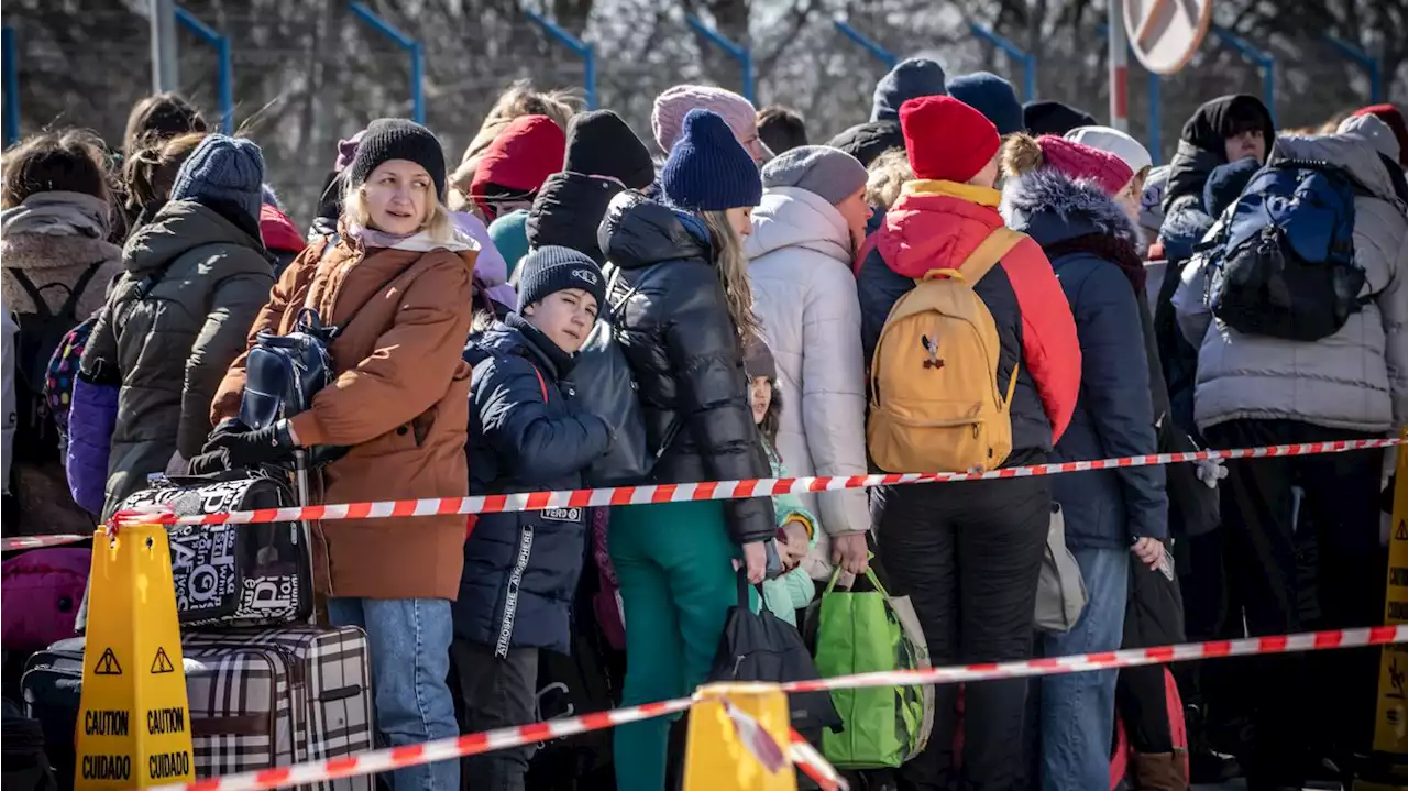 Fears mount over human trafficking of Ukrainian refugees