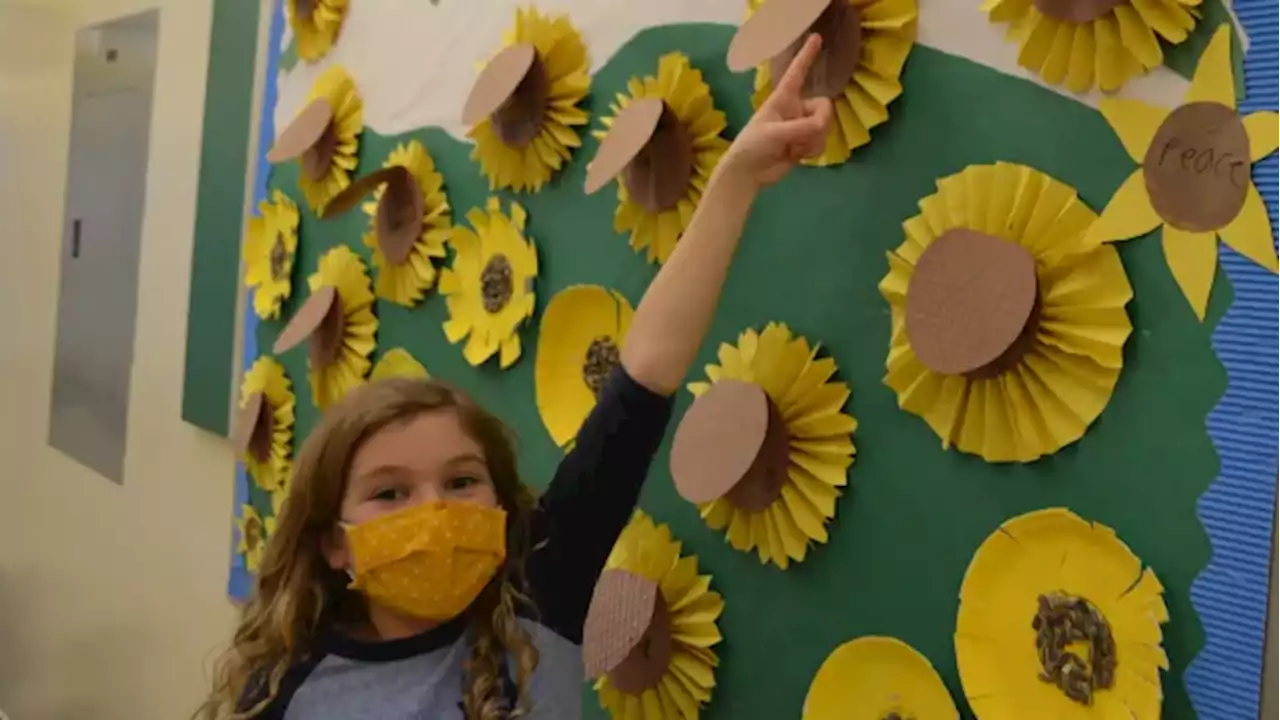 Thunder Bay schools show support for Ukraine with blue-and-yellow day | CBC News