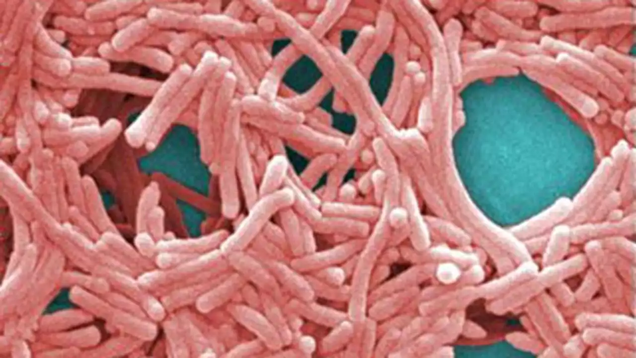 Legionella bacteria detected at 2 Illinois Department of Corrections facilities