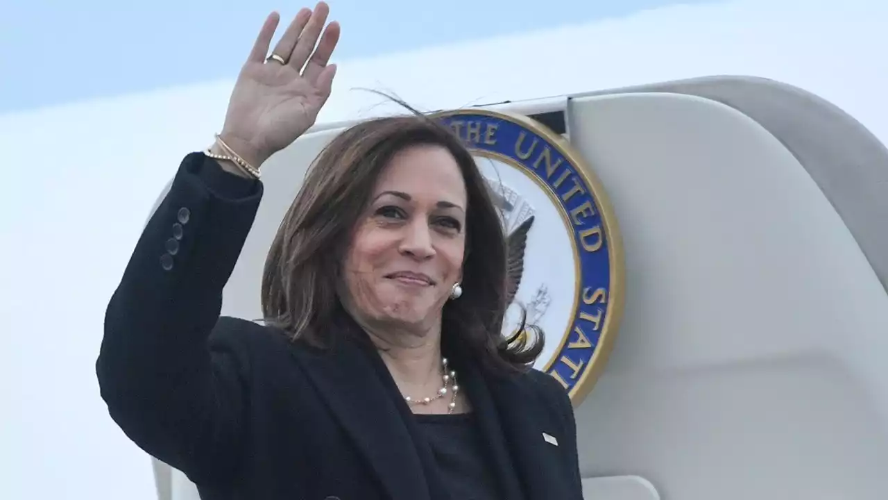 Harris on record gas prices: 'Price to pay for democracy'