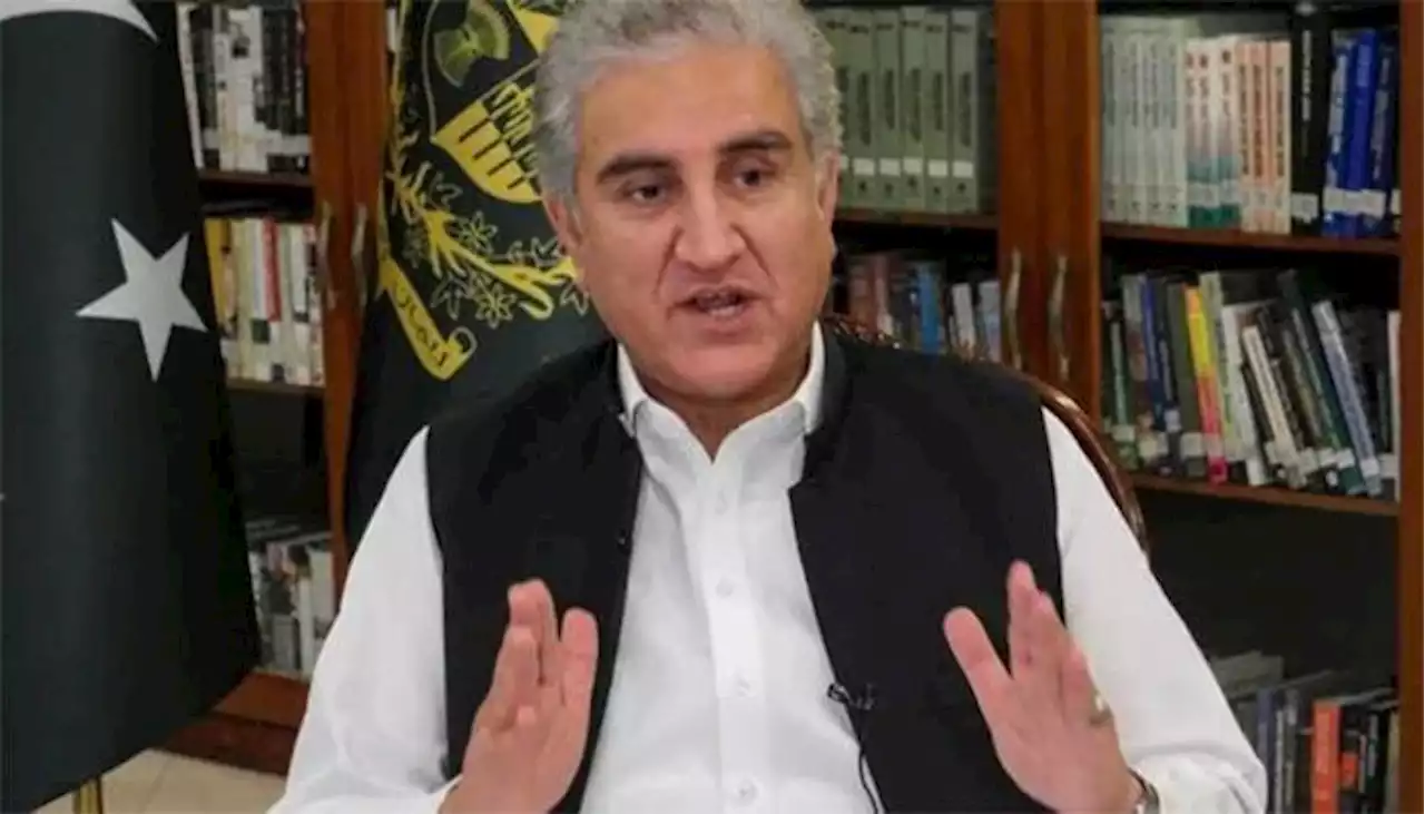 تحریک عدم اعتماد میں ترین اور علیم خان گروپ کہیں دکھائی نہیں دیتا، شاہ محمود قریشی