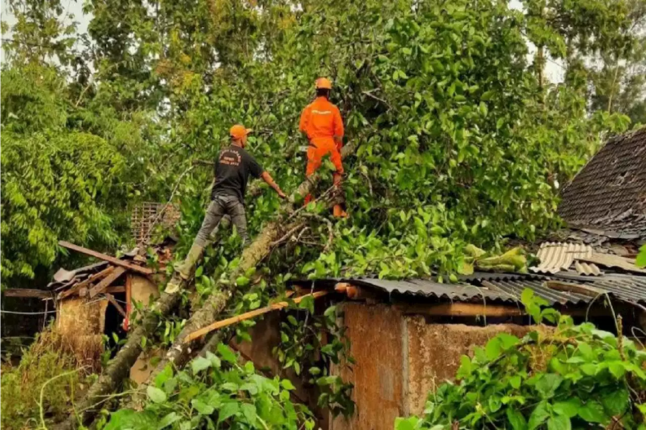 Cerita Kepala Desa tentang Bencana Angin Kencang di Gunungkidul, Menyeramkan