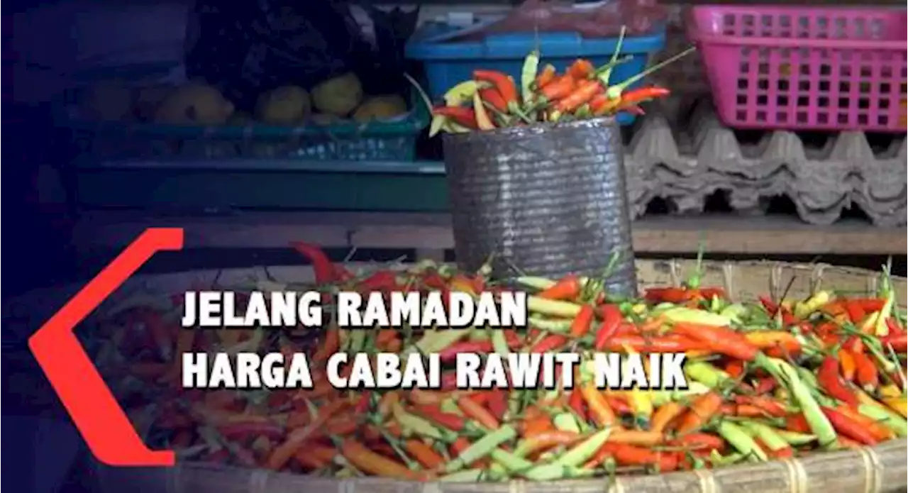 Jelang Ramadan Harga Cabai Rawit Di Pasar Tradisional Naik