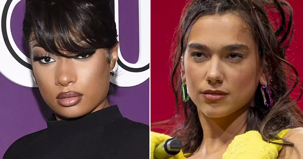 Fair warning: Megan Thee Stallion and Dua Lipa's 'Sweetest Pie' isn't about dessert