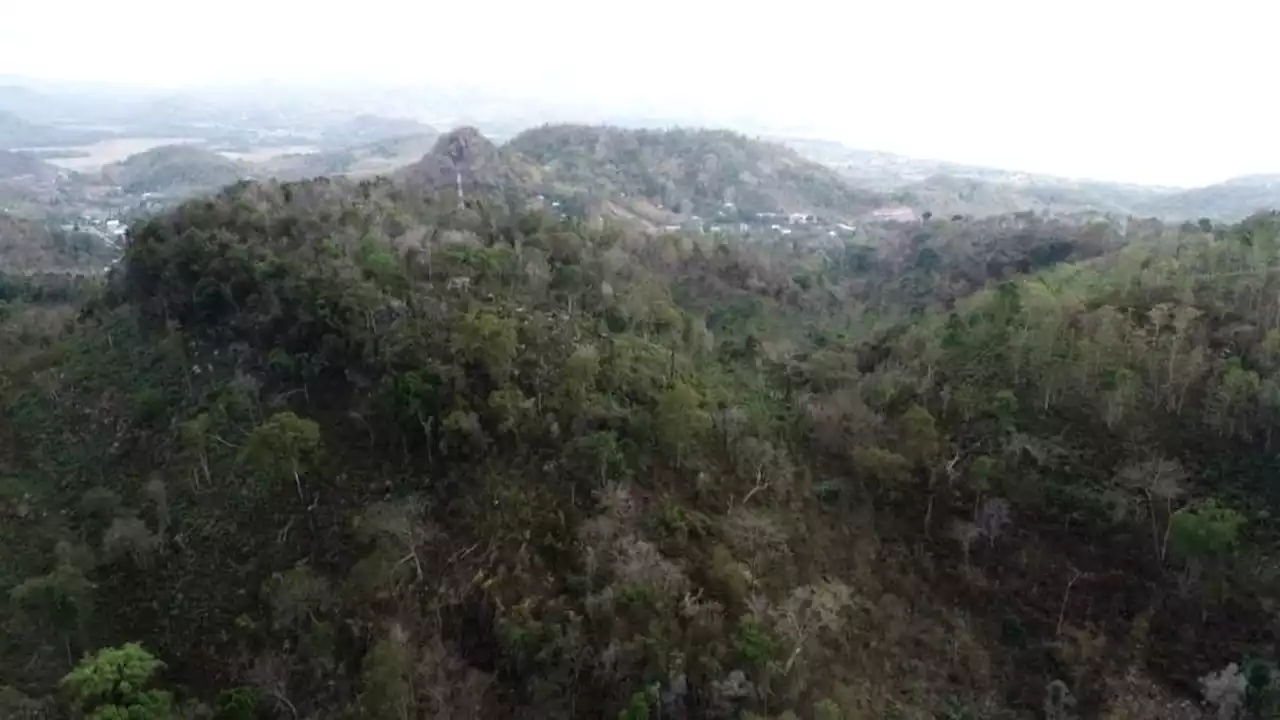 400 Hektare Kawasan Hutan Bowosie Labuan Bajo Dialihfungsikan Jadi Wisata Alam