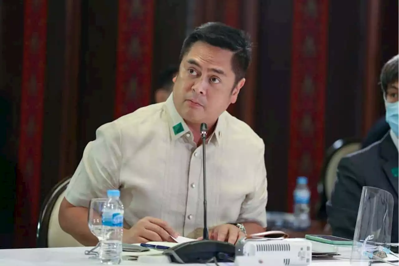 PH 'prepared' to accept Ukrainian refugees, says Andanar