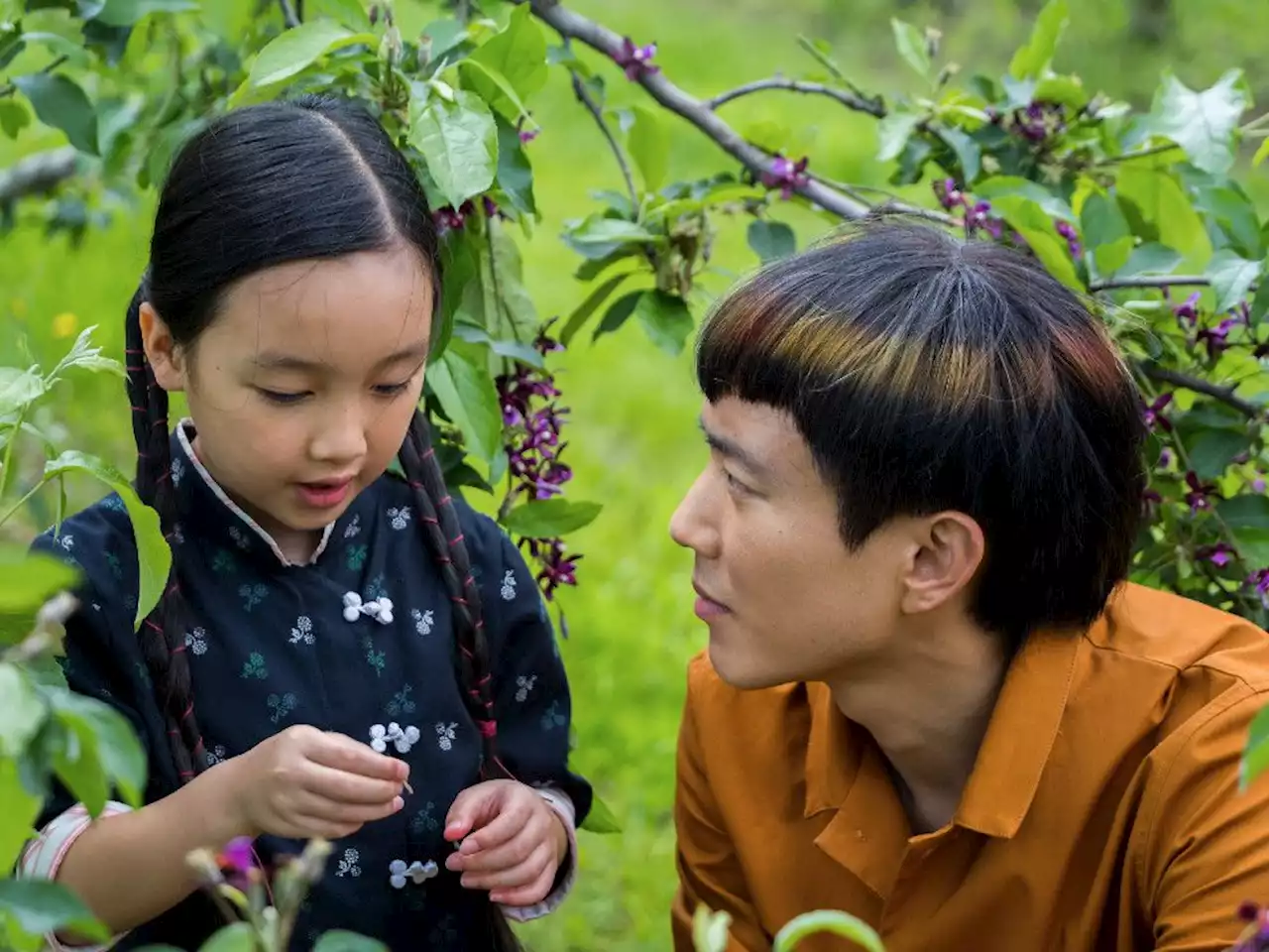 Film review: After Yang is worth freeing up some space in your own memory bank