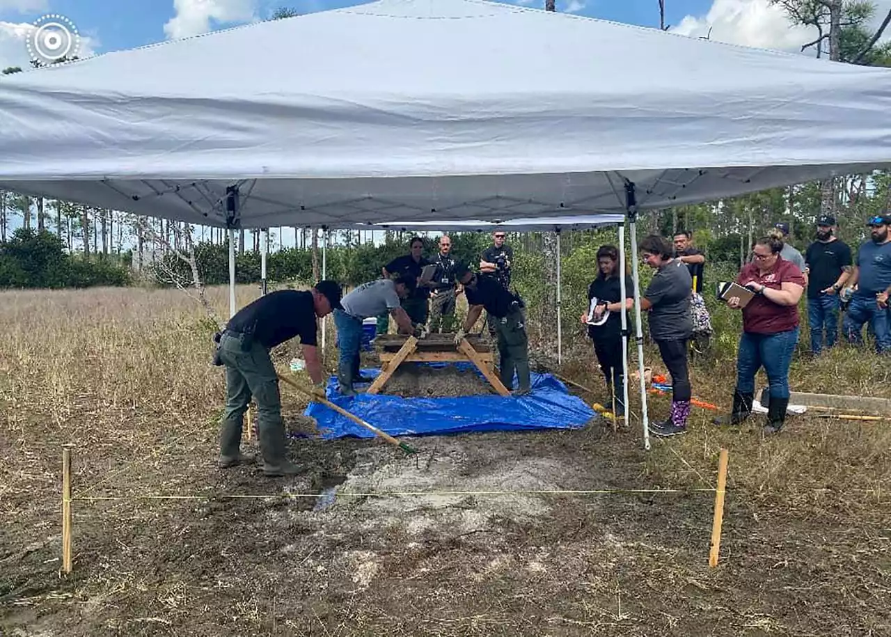 Human remains in alligator’s mouth believed to be connected to man’s slaying, Florida sheriff’s office says