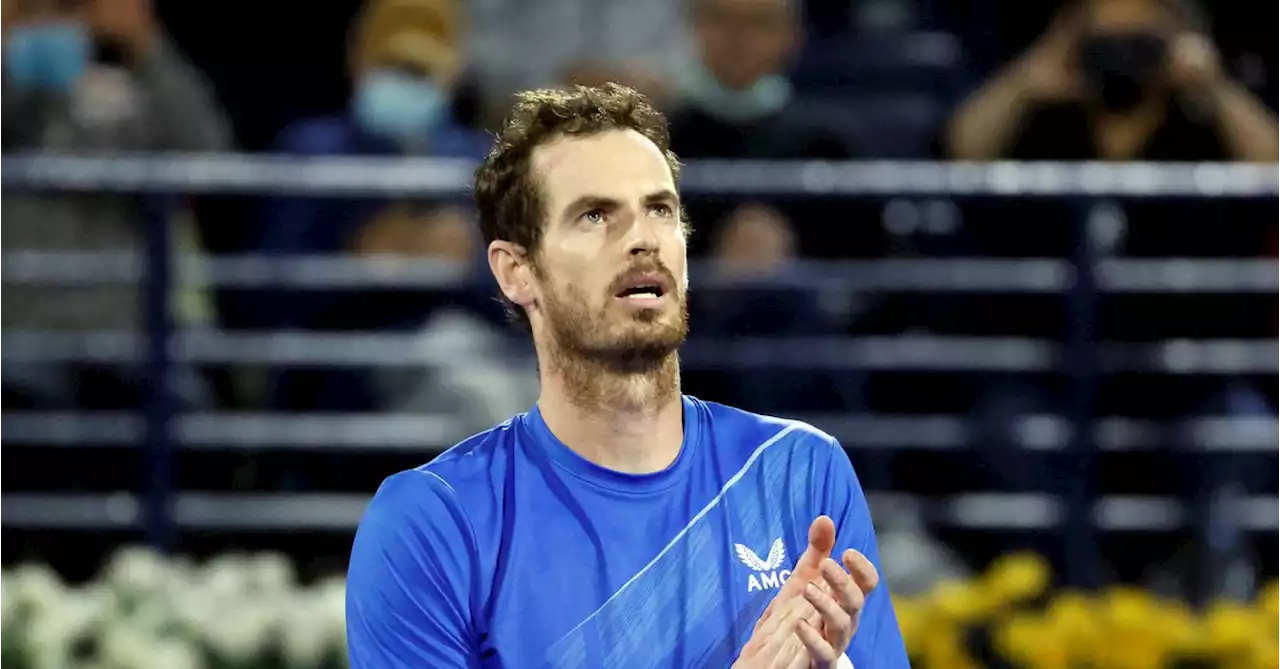 Murray beats Daniel for 700th career win