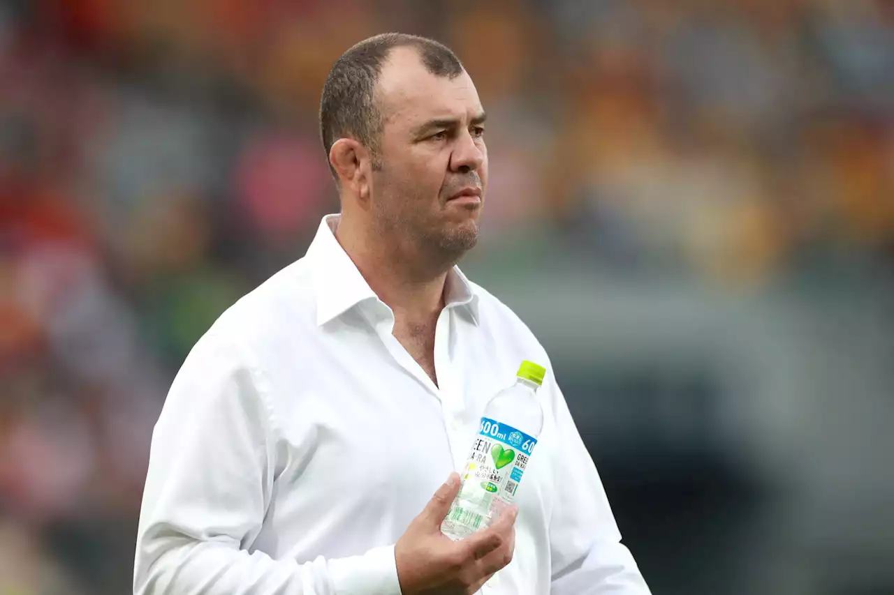 Aussie Cheika named new coach of Los Pumas