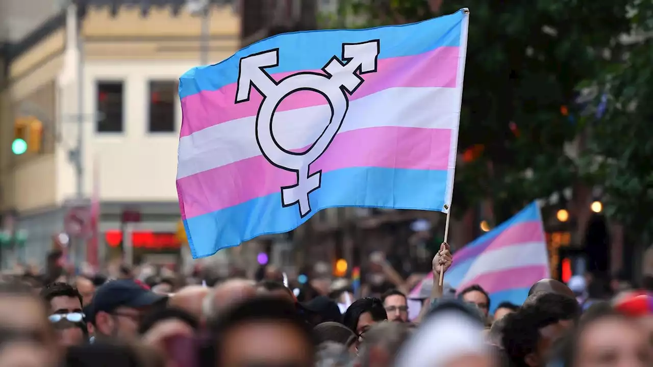 We Trans People Will Never Surrender, but Fighting Bigots Is Exhausting