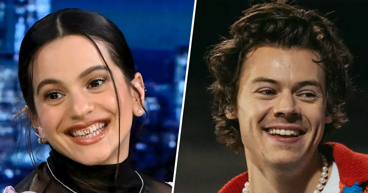 Rosalía says Harry Styles texted a stranger thinking it was her