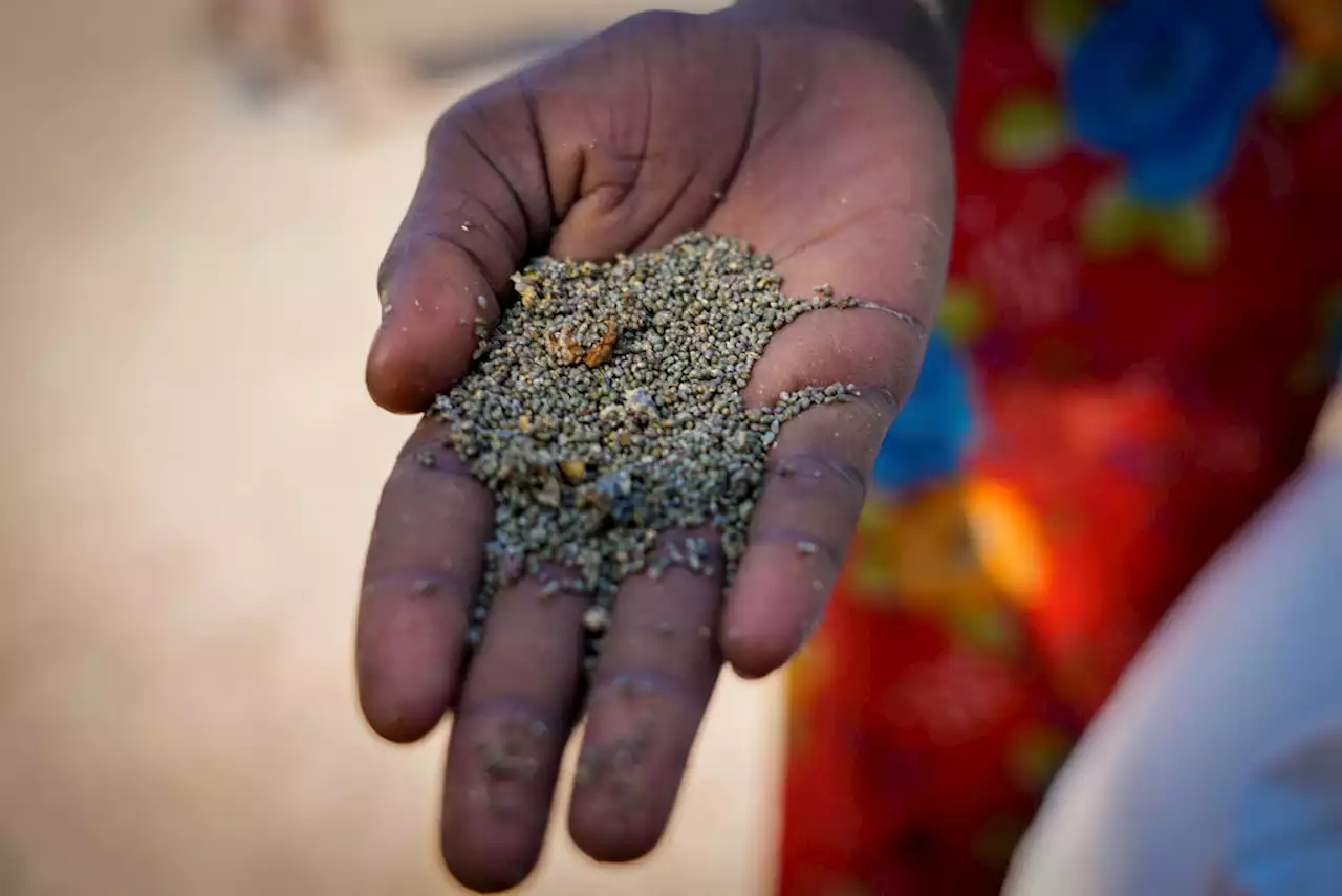 UN: 70% of South Sudan population to face extreme hunger