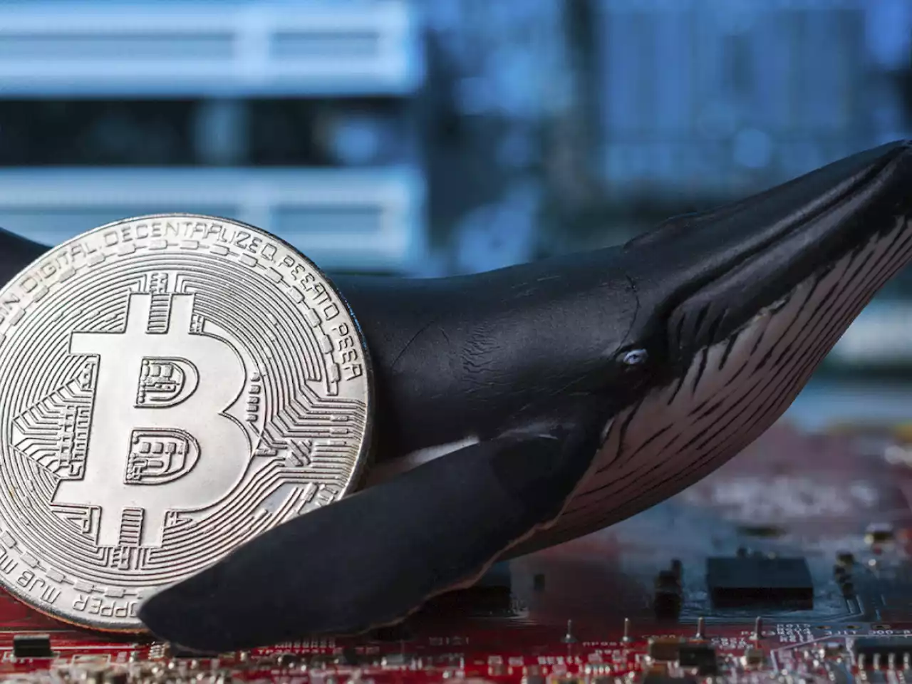 Bitcoin Whales in Uncertainty as BTC Fails to Hold Above $40,000