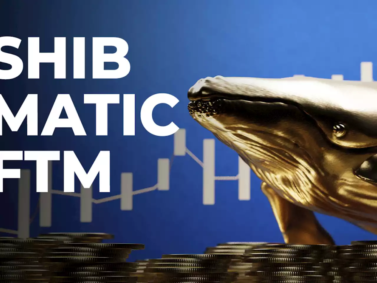 SHIB, MATIC, FTM Among Top Acquisitions of Whales in Past 24 Hours: Report