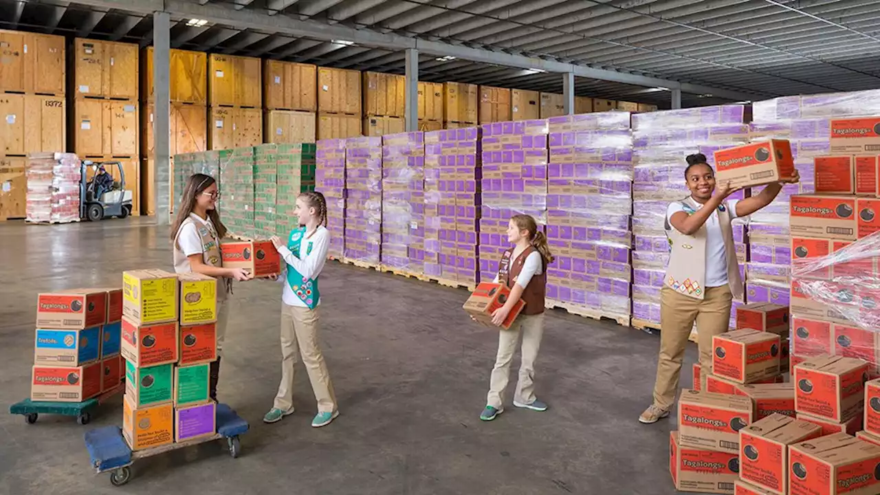 Here's What a Warehouse Full of Girl Scout Cookies Looks Like