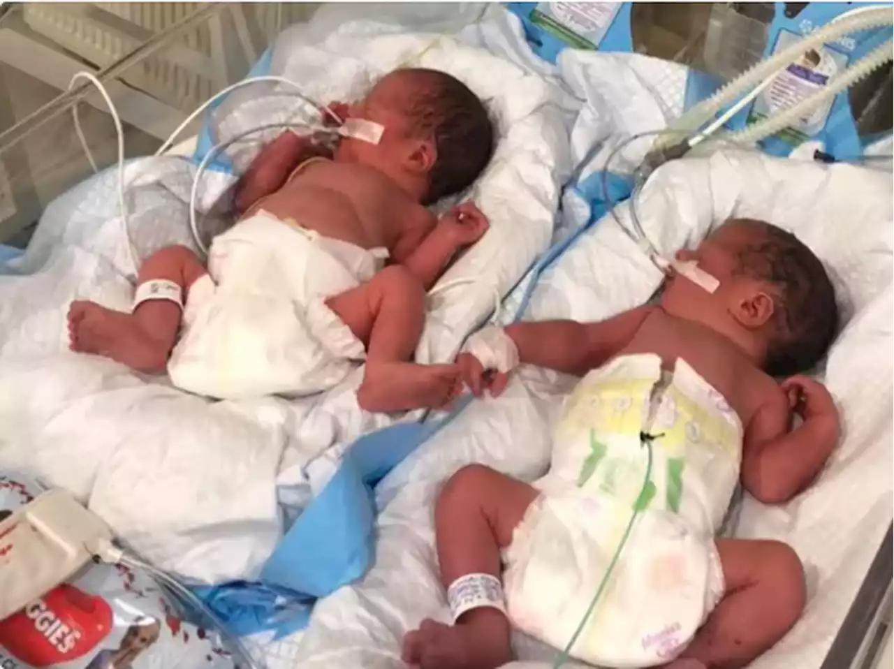 A rescue team evacuates premature American twins from Kyiv in a daring mission