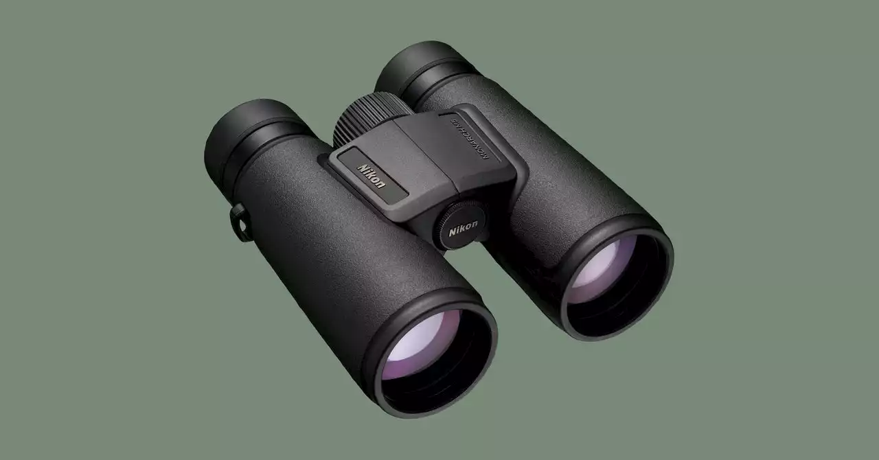 The Best Binoculars to Zoom In on Real Life