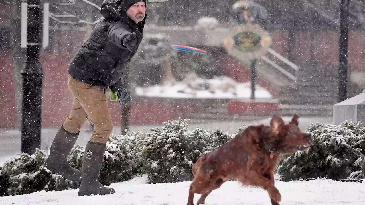 Late winter storm bringing snow to US South, Northeast