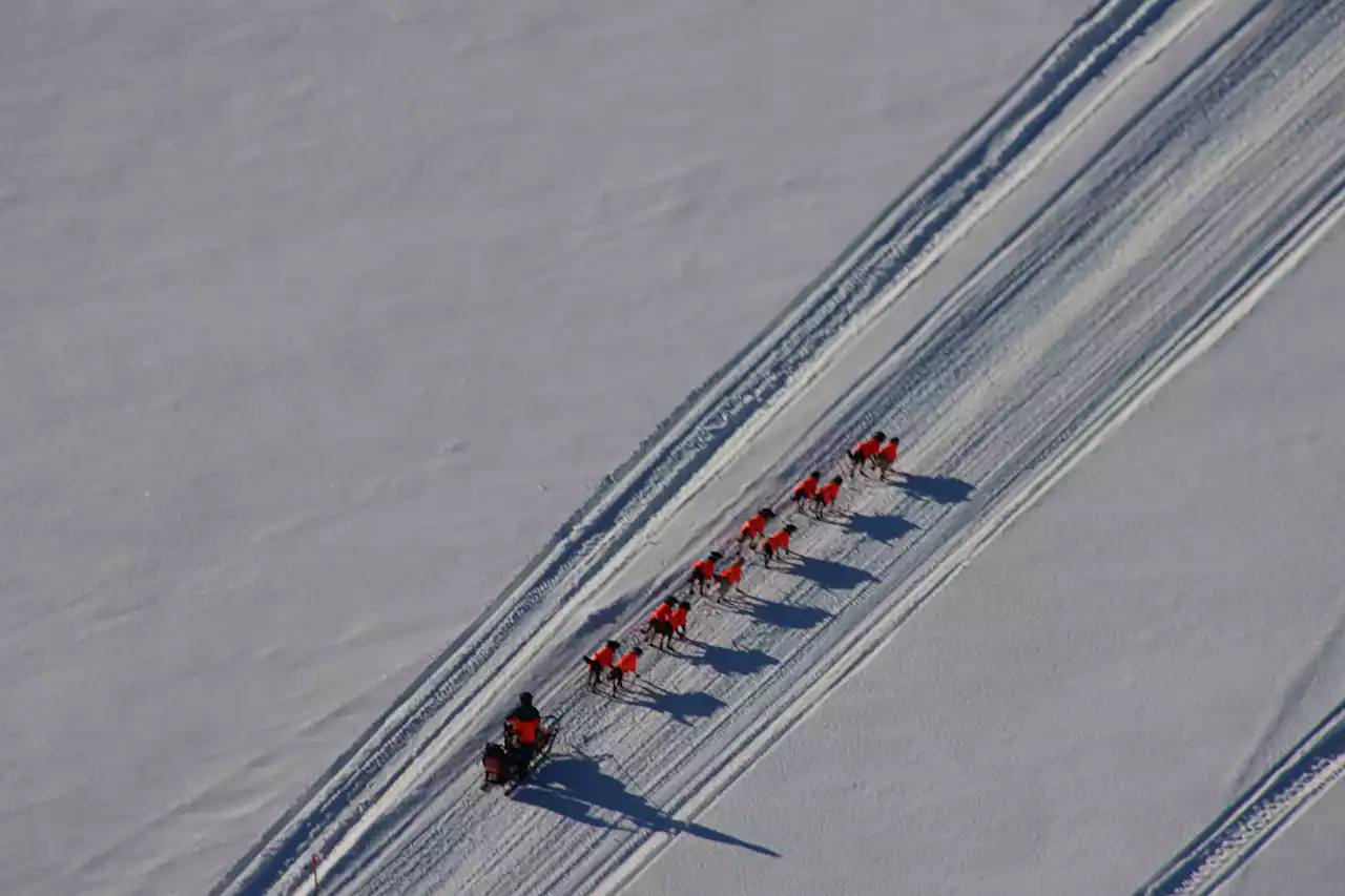 Meet musher Hanna Lyrek, the Iditarod rookie who's racing closest to the front of the pack - Alaska Public Media