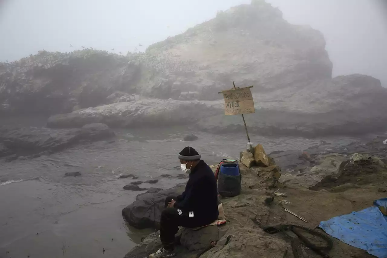 Peru's 'worst ecological disaster' slams small-scale fishing