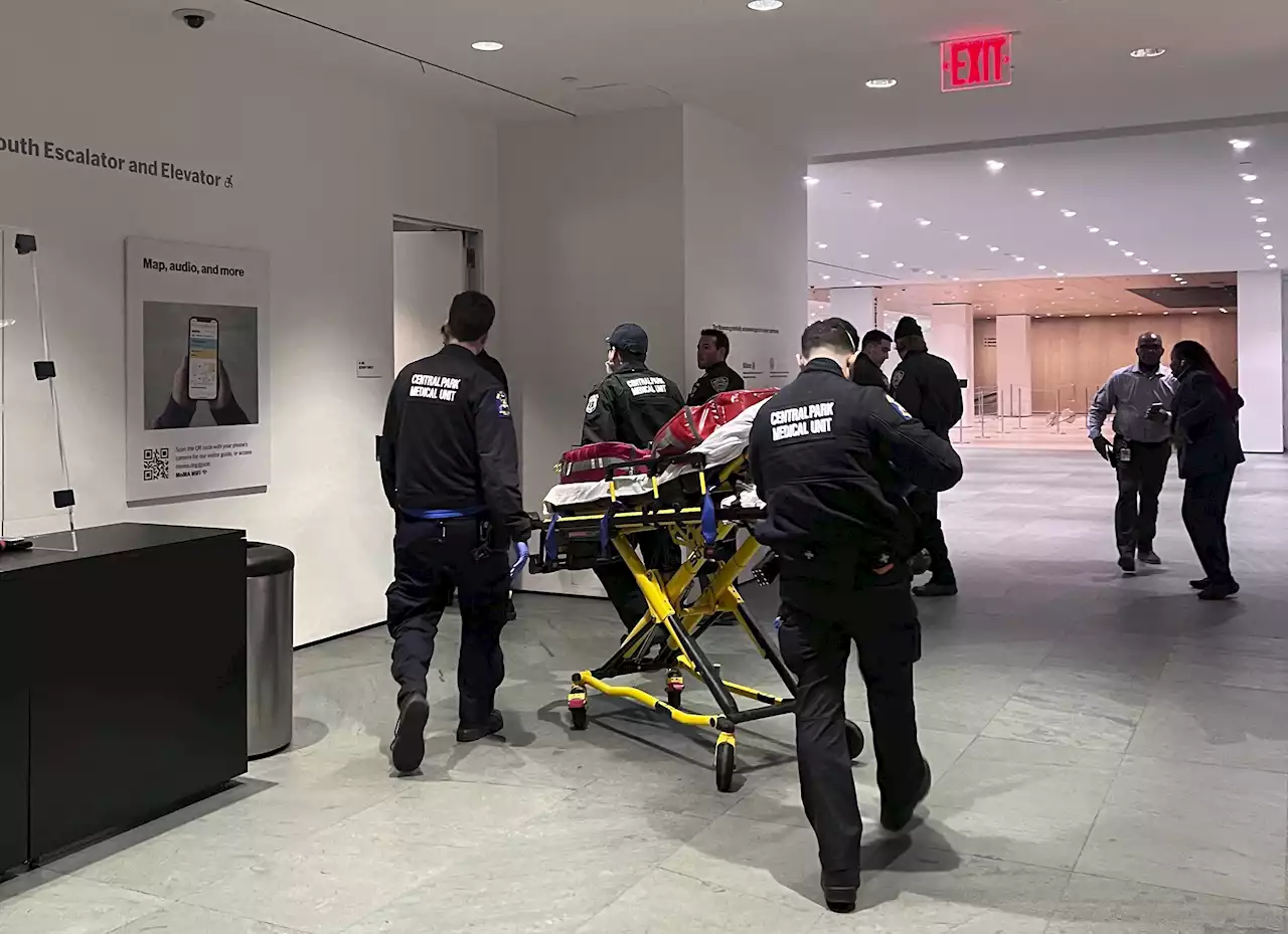 Video shows man stabbing 2 workers at New York's MOMA