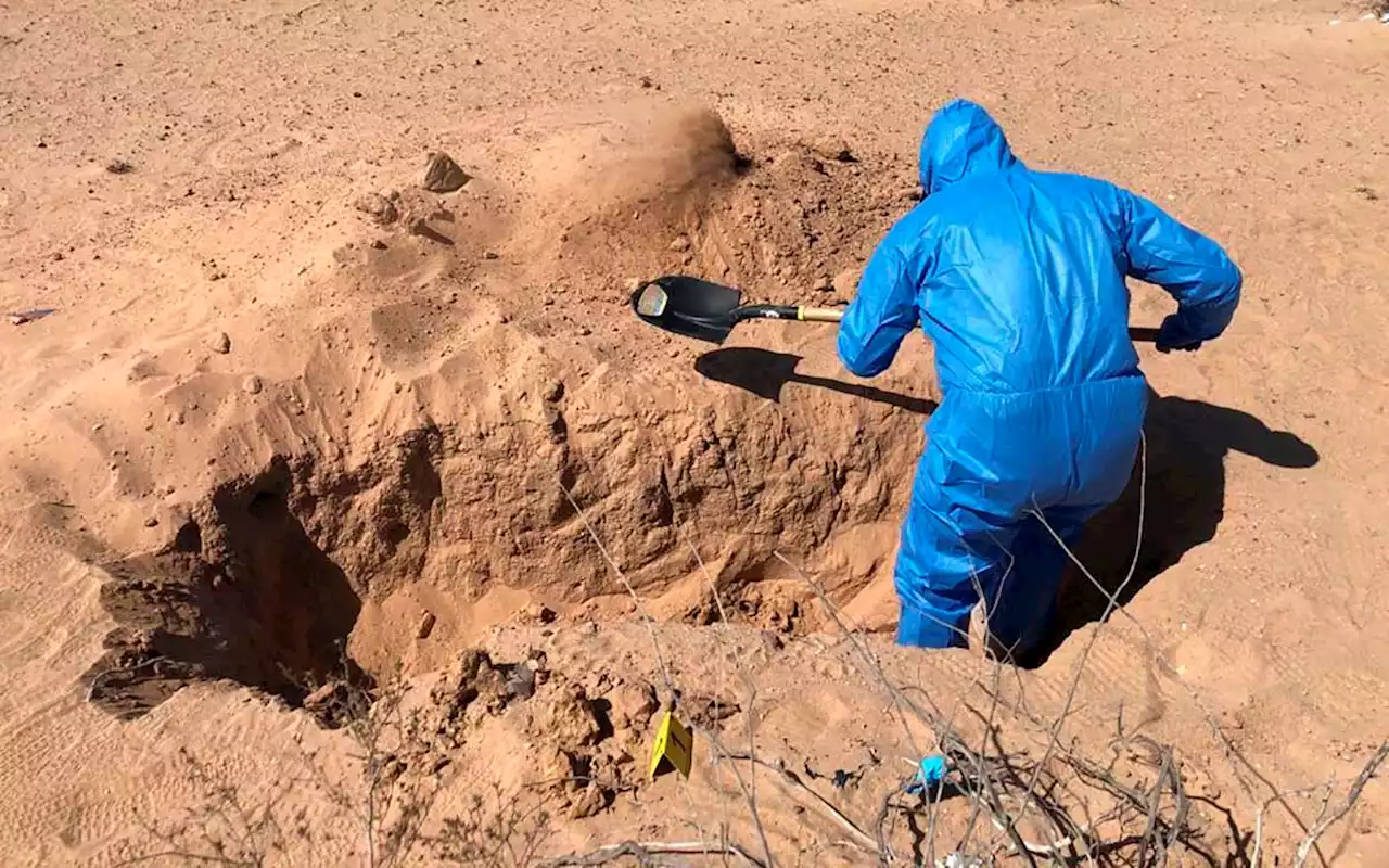 Sonora: Localizan nueve cuerpos en cinco fosas clandestinas en San Luis Río Colorado