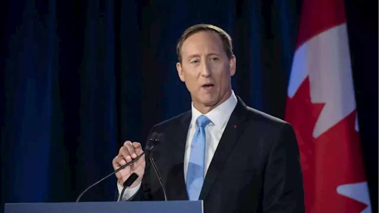 Peter MacKay rules out run for Conservative leadership | CBC News