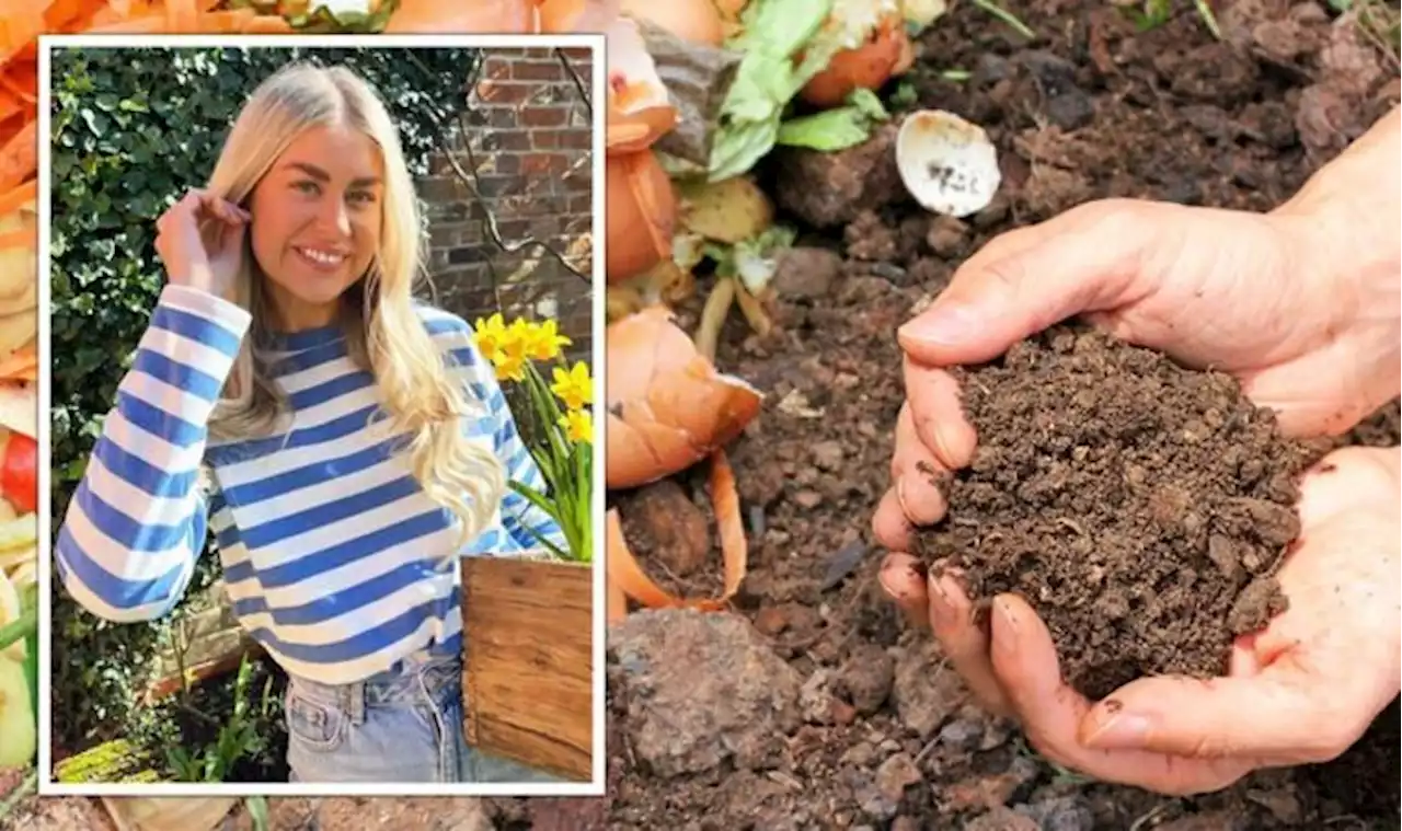 Best peat-free compost options according to This Morning expert - 'they’re all good'