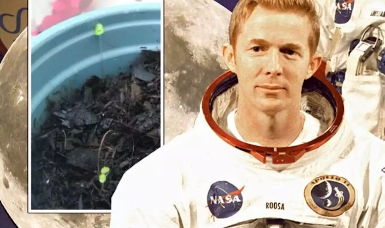 NASA Moon mystery poised to be solved as clue for missing Apollo samples found in UK