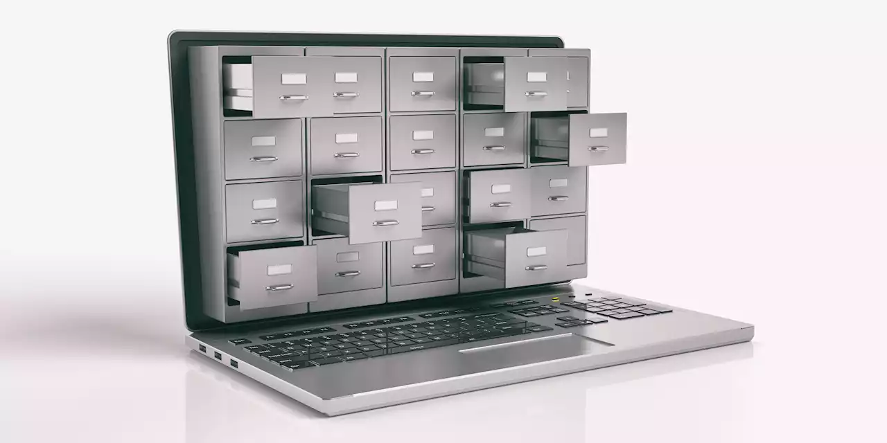 Meet the Activist Archivists Saving the Internet From the Digital Dustbin