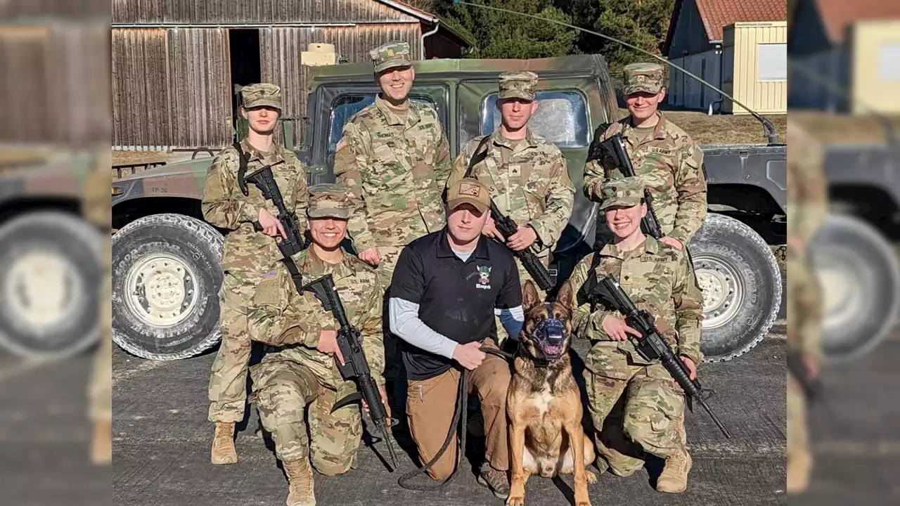 Military dogs celebrated on National K9 Veterans Day