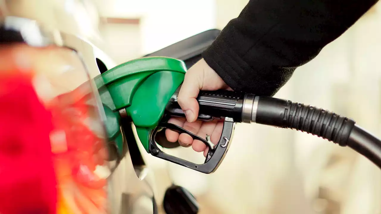 Gasoline's record run pauses