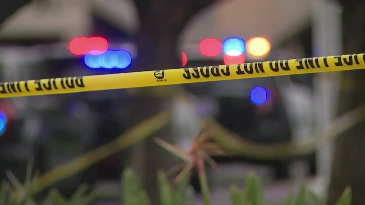 Man killed while walking his dog in Mid-City area