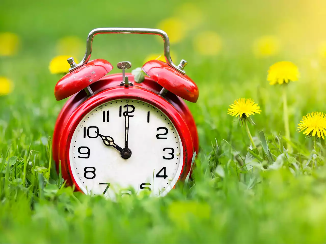 Daylight Saving Time in the US: Which way do clocks go in March?