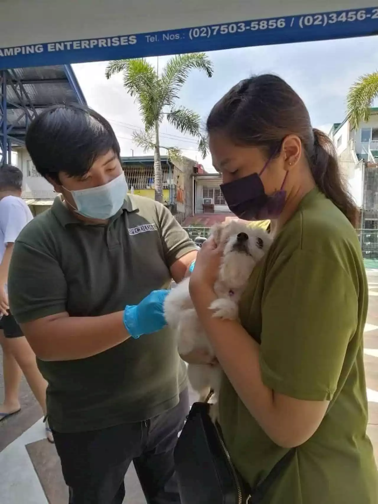 QC gov’t announces free pet anti-rabies vax, spay, neuter services schedule