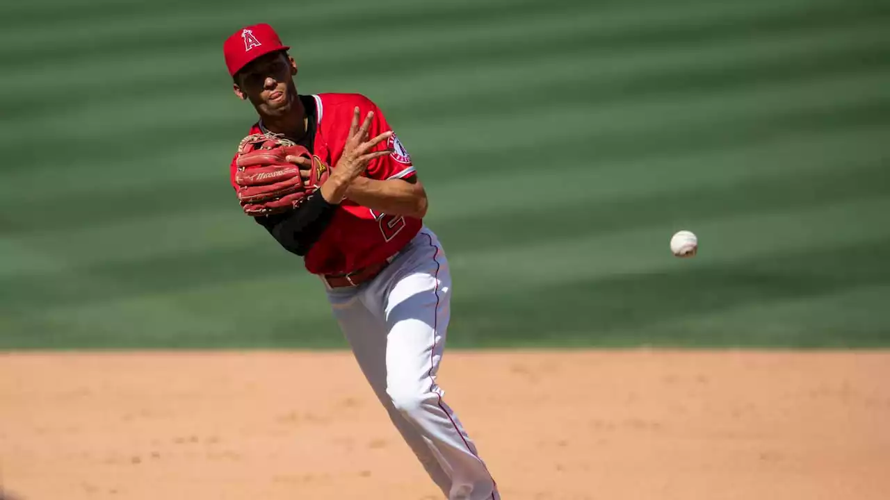 Cubs React to Adding ‘Exciting' SS Andrelton Simmons: ‘Love It'