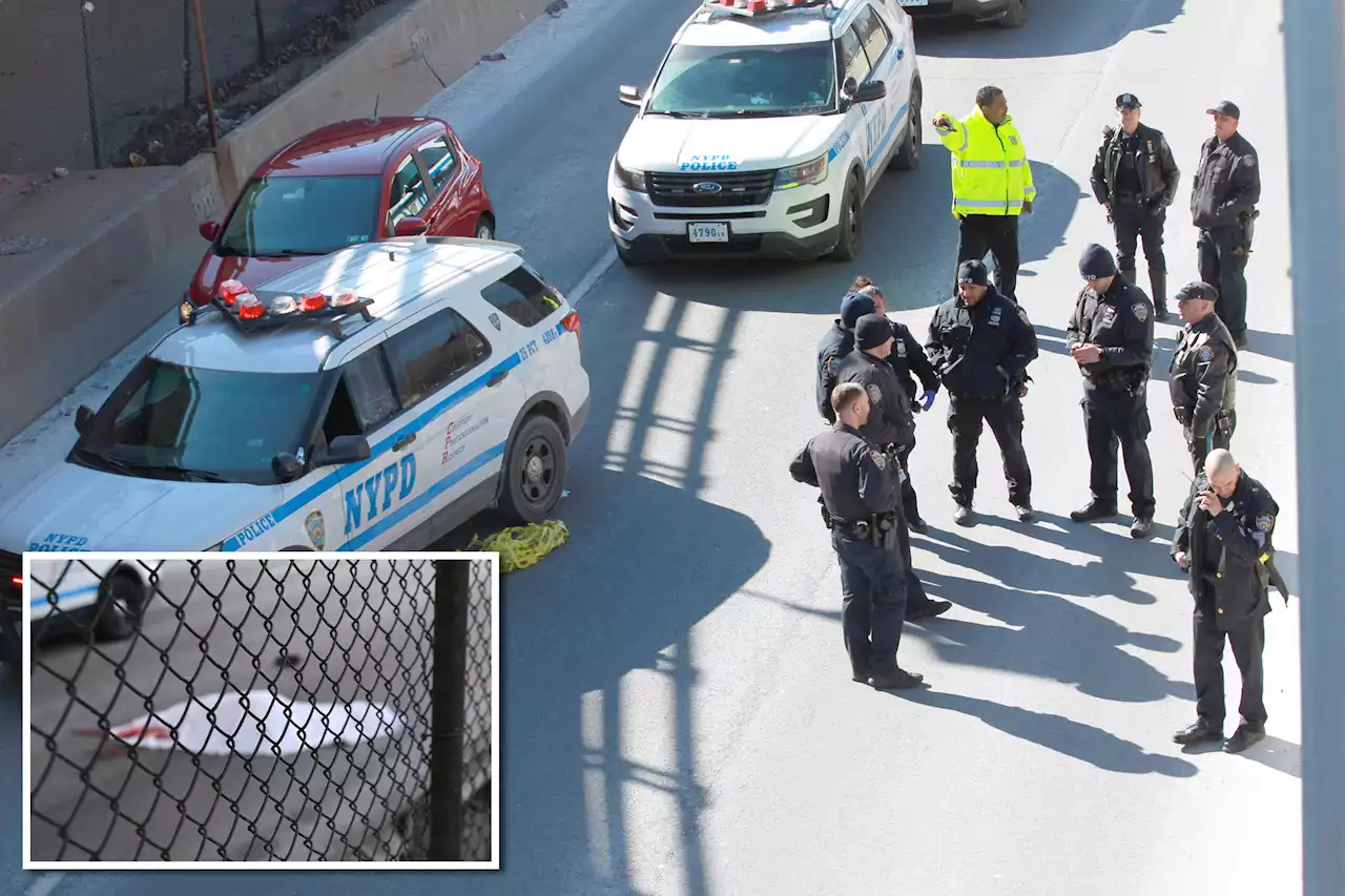 Woman killed after leaping from NYC overpass, being struck by car: police