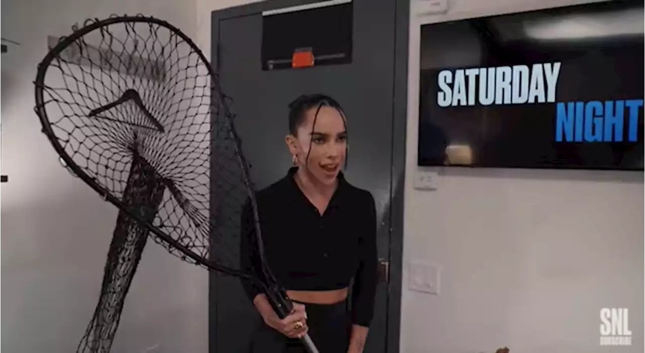 'SNL': Watch 'The Batman' Stars Zoë Kravitz and Paul Dano Go on Wild Cat Chase