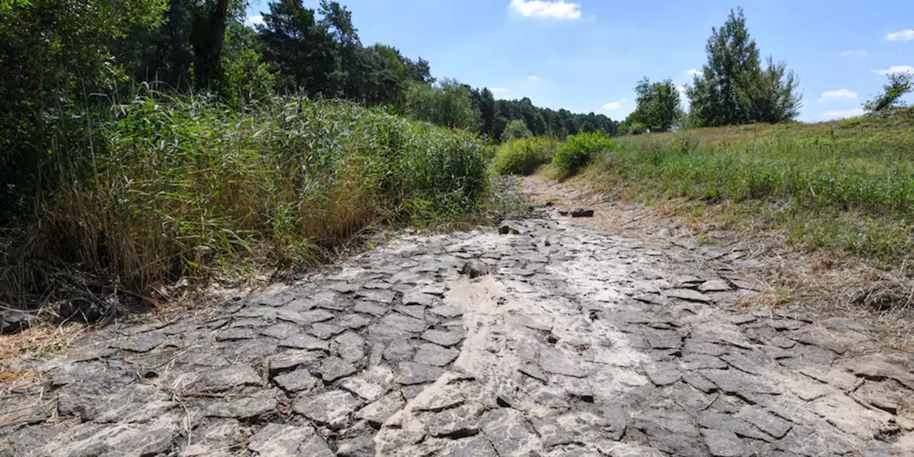 Prognose zum Grundwasserspiegel: Schon 2 Grad plus sind zu viel