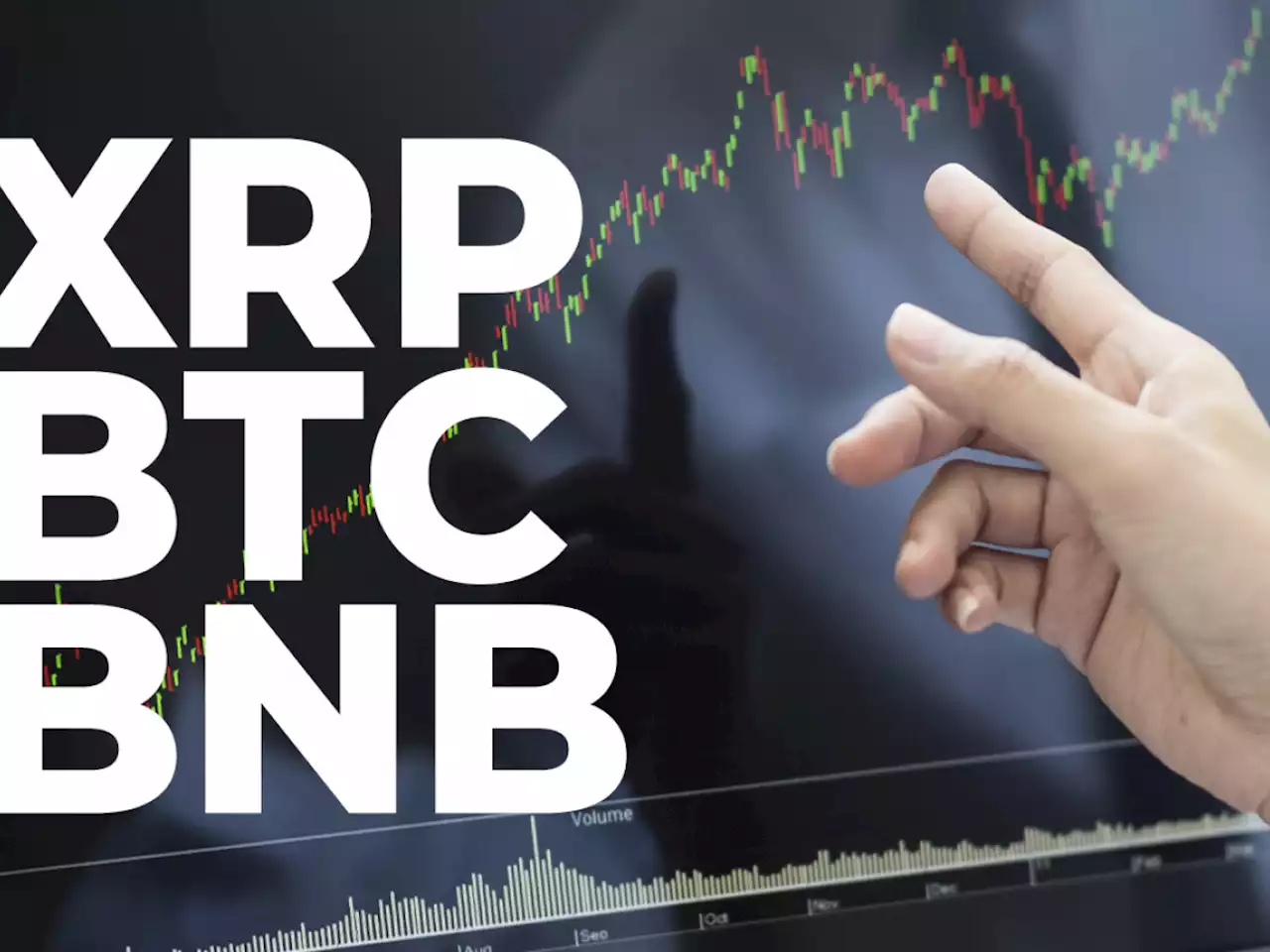 XRP, BTC, BNB Traders Believe Prices For These Coins Will Rise Soon: Report