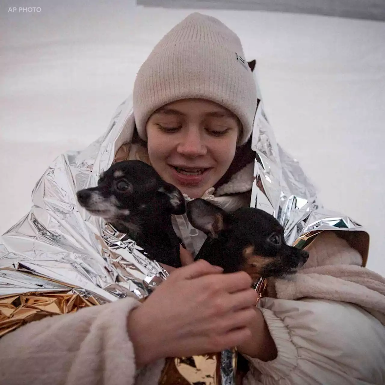 Ukraine refugees leave homes behind, but not their pets: 'I have to take responsibility'