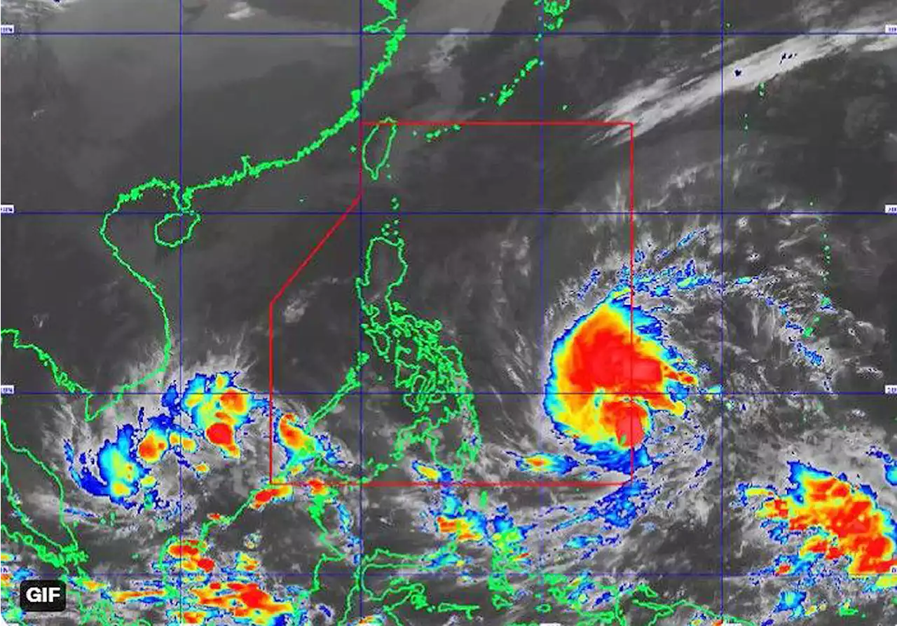 Cebu BPOs seek exemption from on-site work rules, cite continuing typhoon impact - BusinessWorld Online