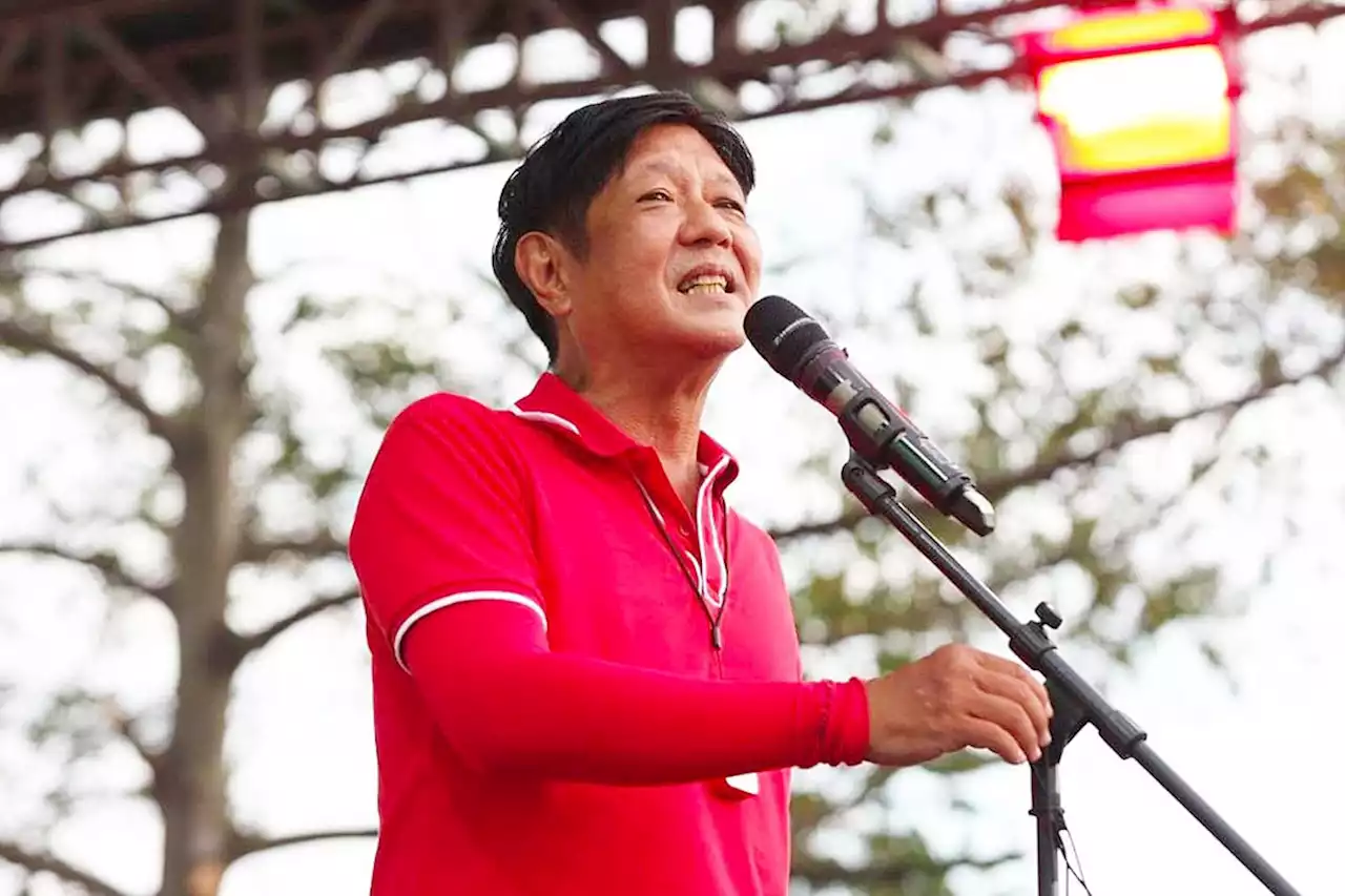 Investors lukewarm to Marcos presidency - BusinessWorld Online