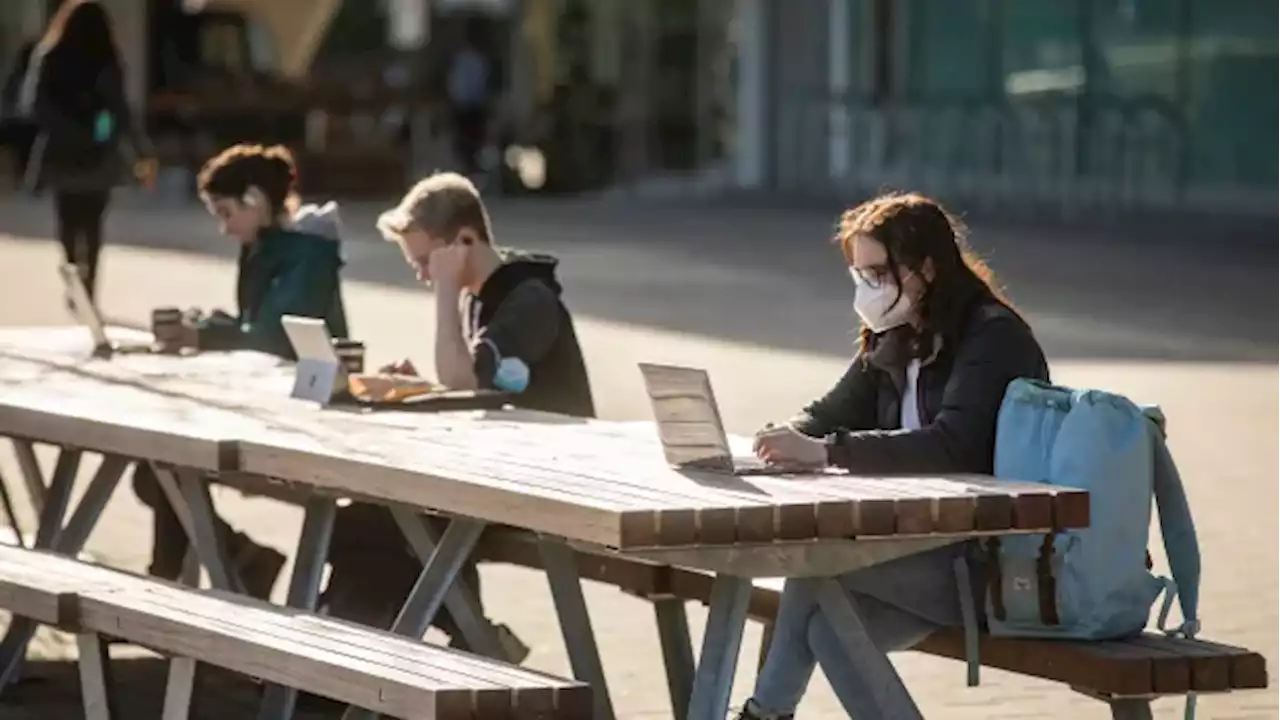 Rising tuition, student debt weigh heavily on post-secondary students | CBC News