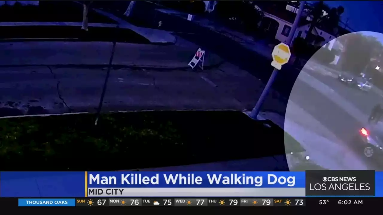 Police Searching For Shooter Who Killed Man Walking His Dog In Mid-City