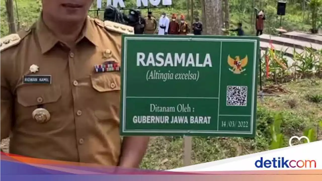 Ridwan Kamil Beberkan Tantangan Terbesar IKN: Jangan Harap 3-5 Tahun Beres