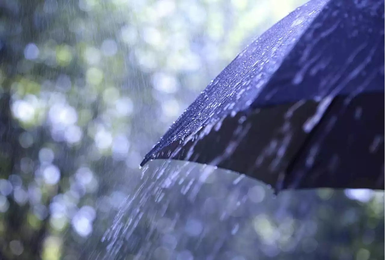 NCR, rest of the country to have rain showers due to easterlies, thunderstorms